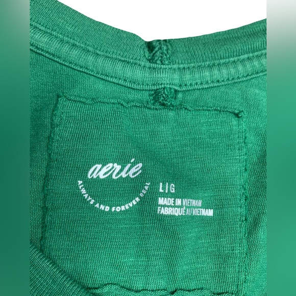 NWT Aerie Oversized V-Neck Boyfriend T-Shirt Size Large Green Dark Algae 3676 - Picture 6 of 12